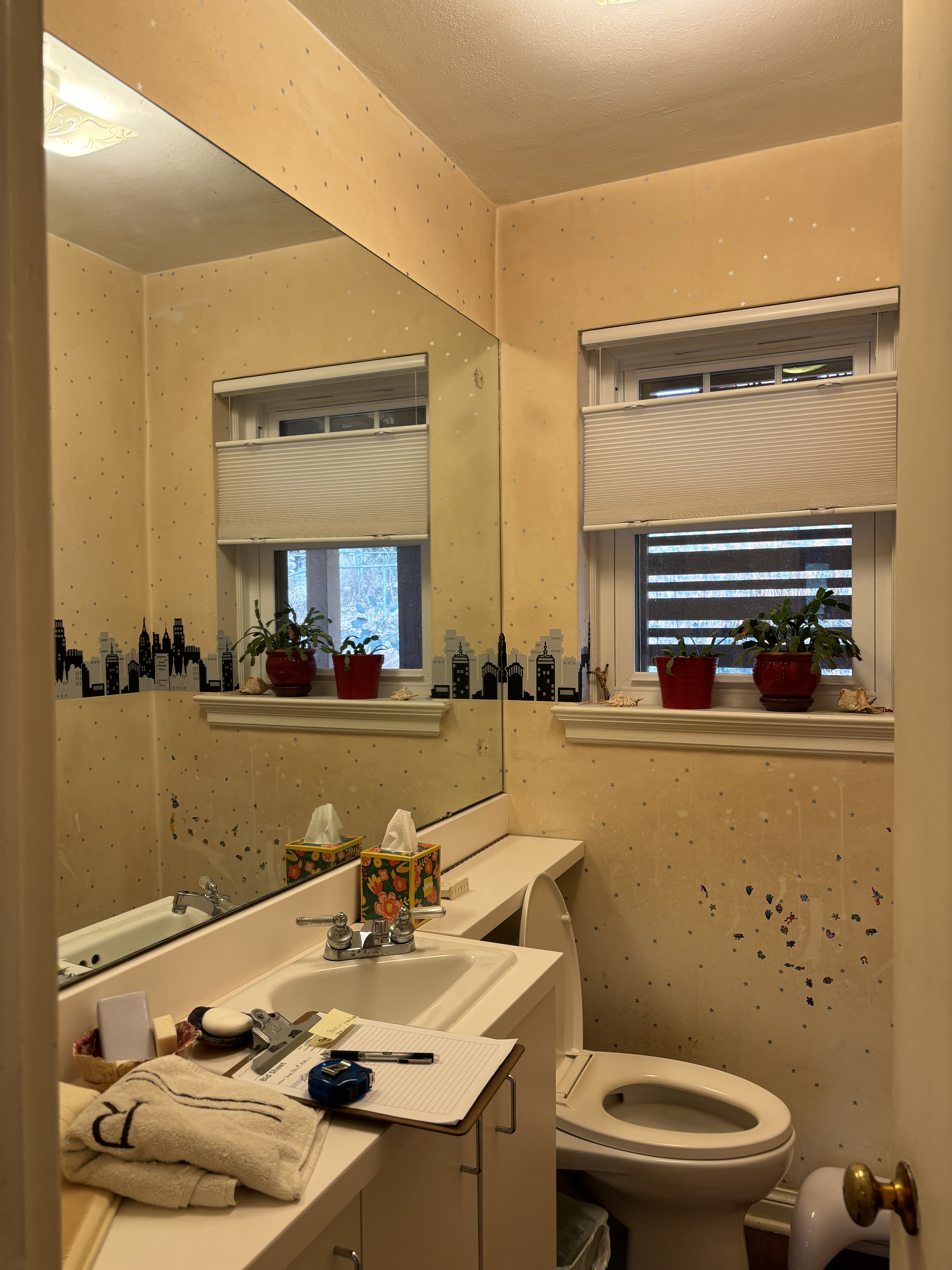 Powder Room before renovation